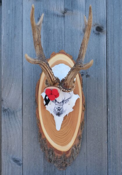 Wildes Design: Rehgeweihe mit Seele "Schwarzwald I Hirsch 1"