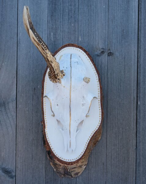 Wildes Design: Rehgeweihe mit Seele "Einer"