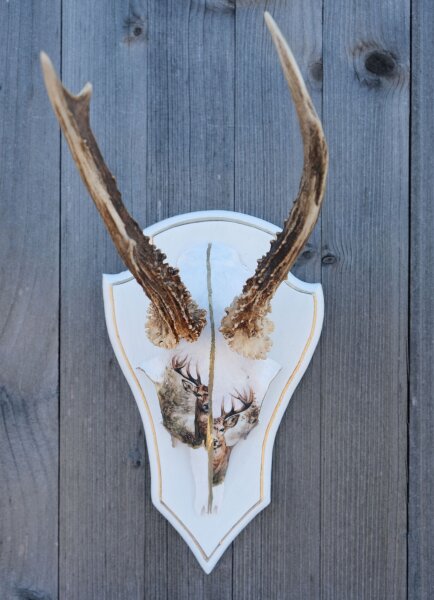 Wildes Design: Rehgeweihe mit Seele "2 Faces"
