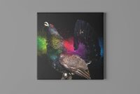 Jan Walter Schwarzwald Pop-Art "POP COLOR...